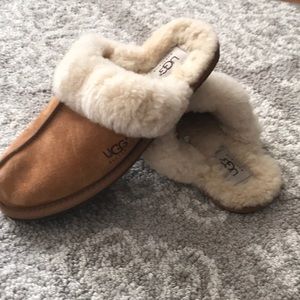 Ugg slippers